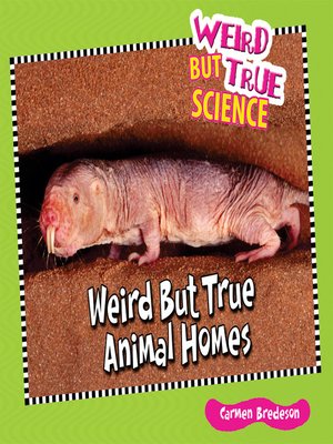 cover image of Weird But True Animal Homes